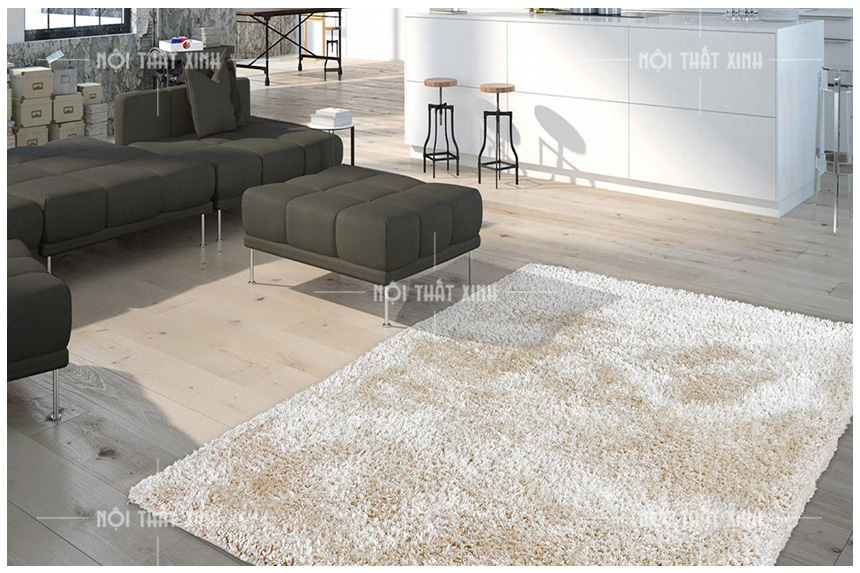 Thảm trải sofa nhập khẩu giúp tăng thêm vẻ sang trọng cho không gian sống của bạn. Xem hình ảnh để tìm hiểu chi tiết về sản phẩm nhập khẩu này.